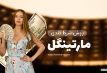روش شرط بندی مارتینگل