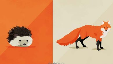 شما در شرط بندی روباه هستید یا جوجه تیغی؟