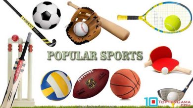 محبوب ترین رشته های ورزشی شرط بندی
