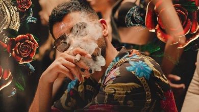 مونتیگو,سایت شرط بندی مونتیگو