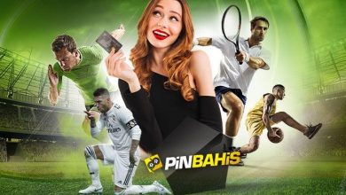سایت شرط بندی پین باهیس (pinbahis)