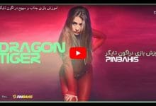 آموزش تصویری دراگون تایگر