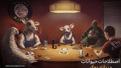 اصطاح حیوانات در پوکر