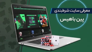 معرفی سایت شرط بندی پین باهیس