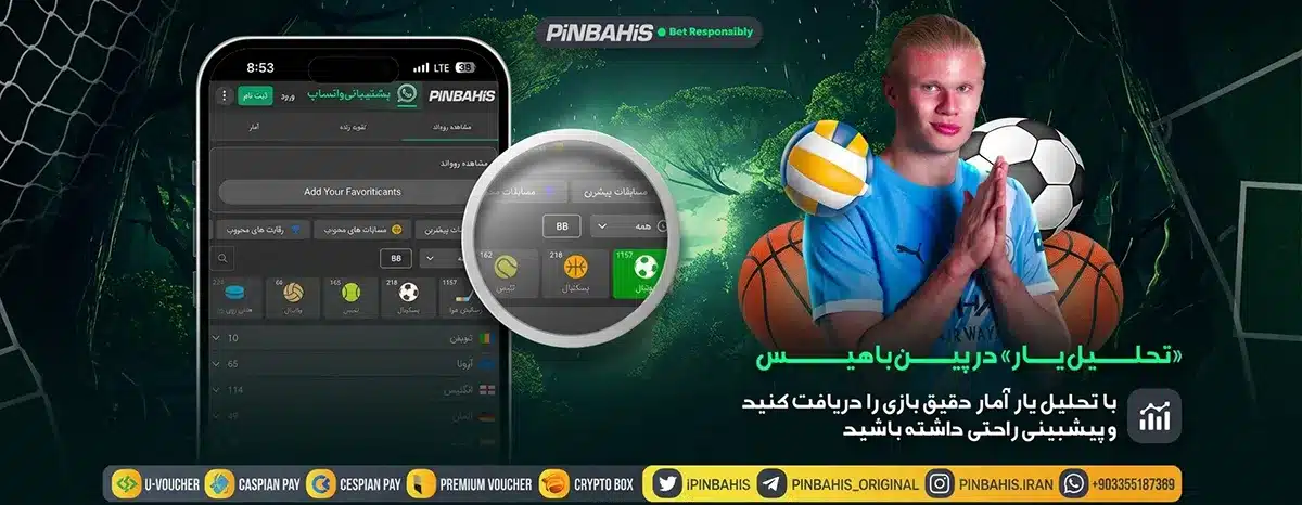 تحلیل یار در پین باهیس